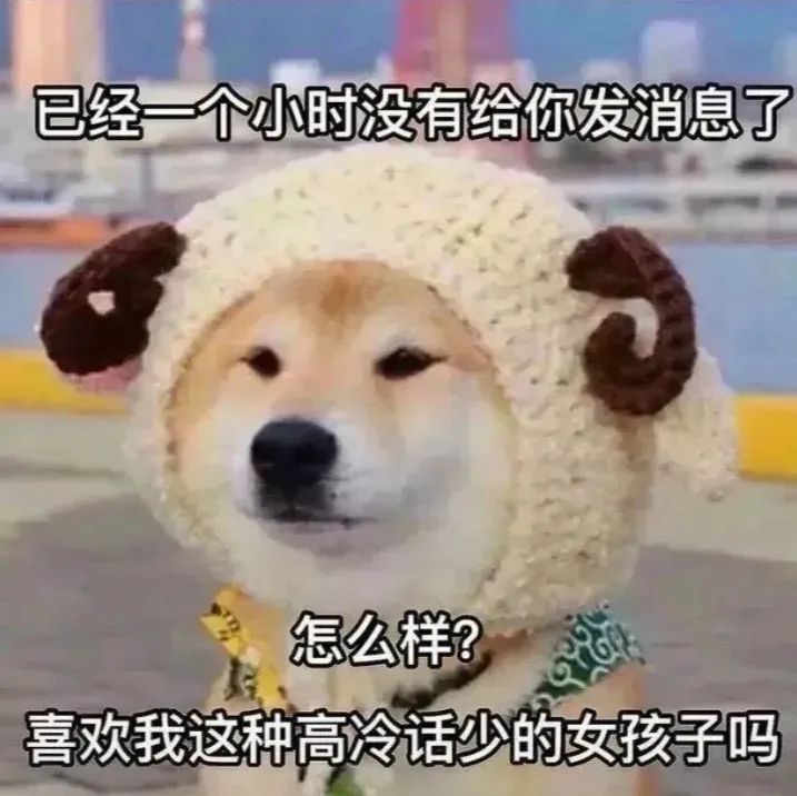 表情包