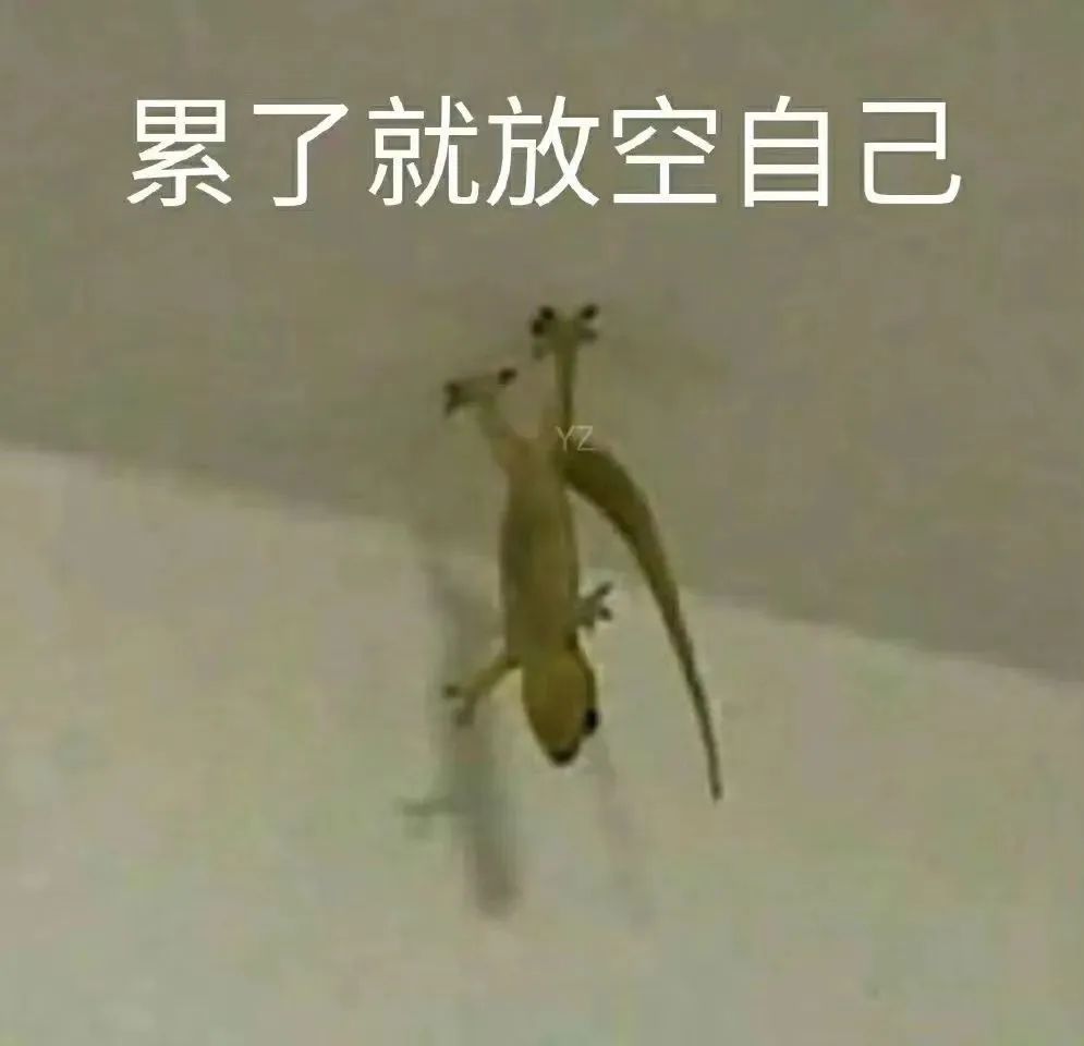 客户端下载二维码
