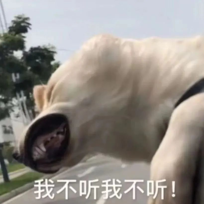 表情包