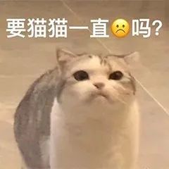 表情包 – 高清 GIF表情包 开放版权素材 免费下载 聊天斗图素材