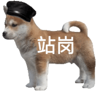 表情包