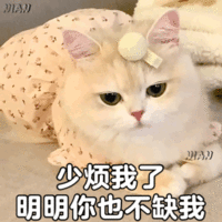 表情包 – 高清 GIF表情包 开放版权素材 免费下载 聊天斗图素材