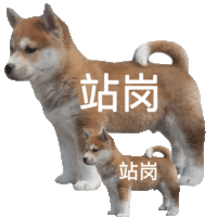 APP下载二维码