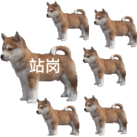表情包