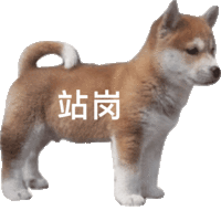 表情包