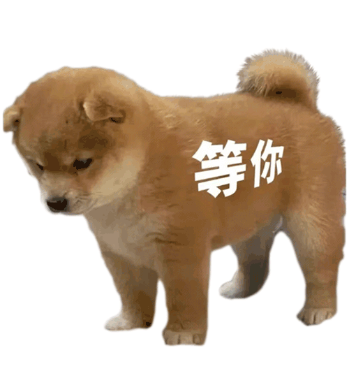 客户端下载二维码
