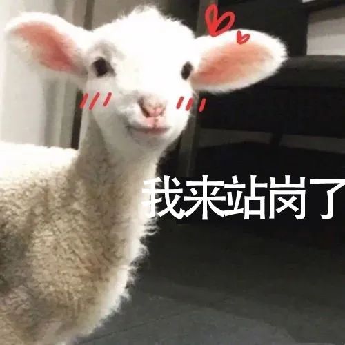 表情包