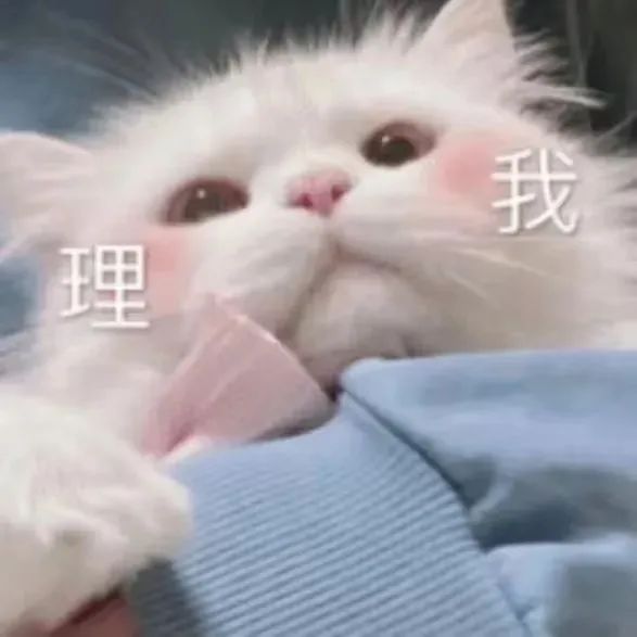 表情包