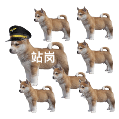 表情包