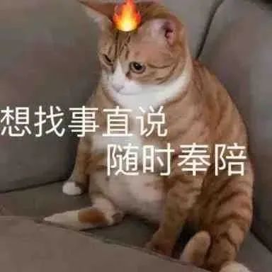 表情包
