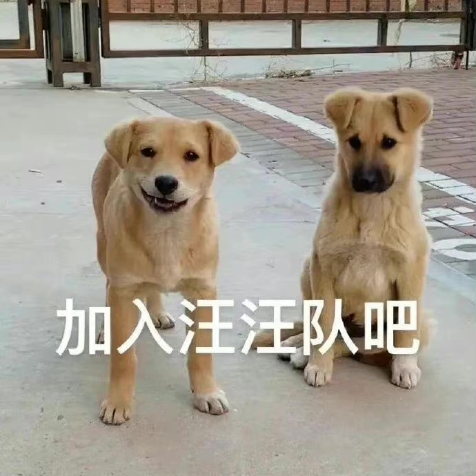 表情包