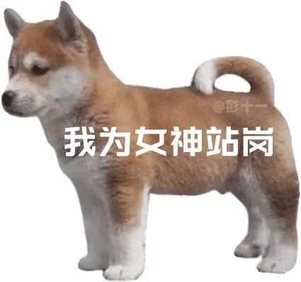 表情包