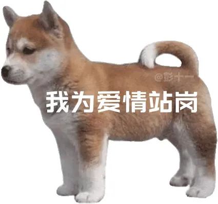 APP下载二维码