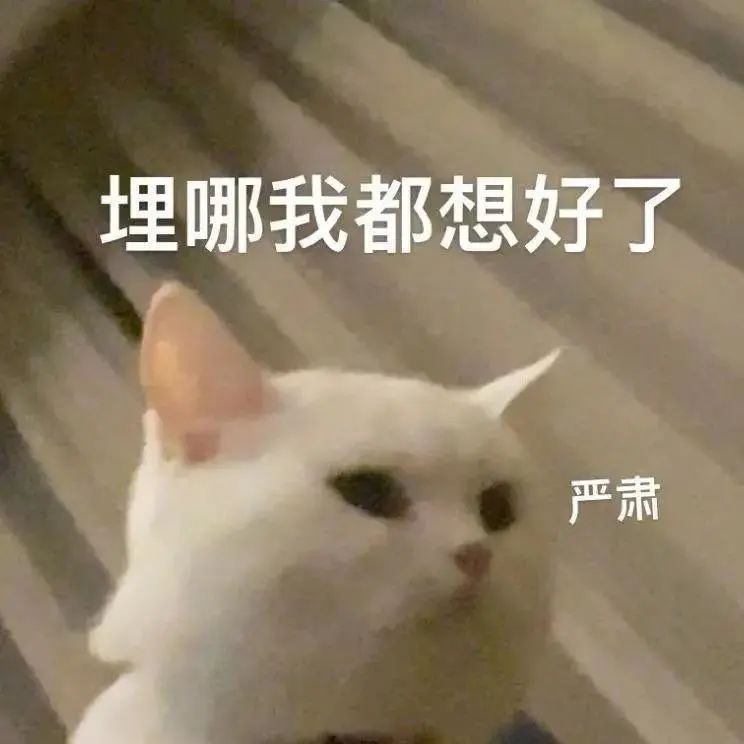 表情包 – 高清 GIF表情包 开放版权素材 免费下载 聊天斗图素材