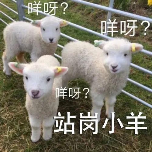 表情包 – 高清 GIF表情包 开放版权素材 免费下载 聊天斗图素材