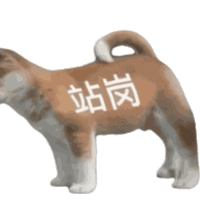 表情包 – 高清 GIF表情包 开放版权素材 免费下载 聊天斗图素材