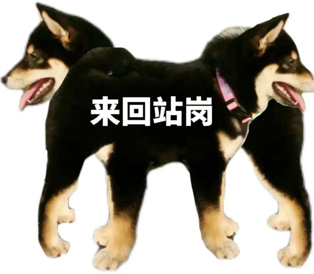 表情包