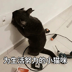 表情包