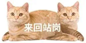 表情包