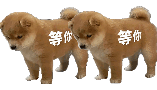 表情包