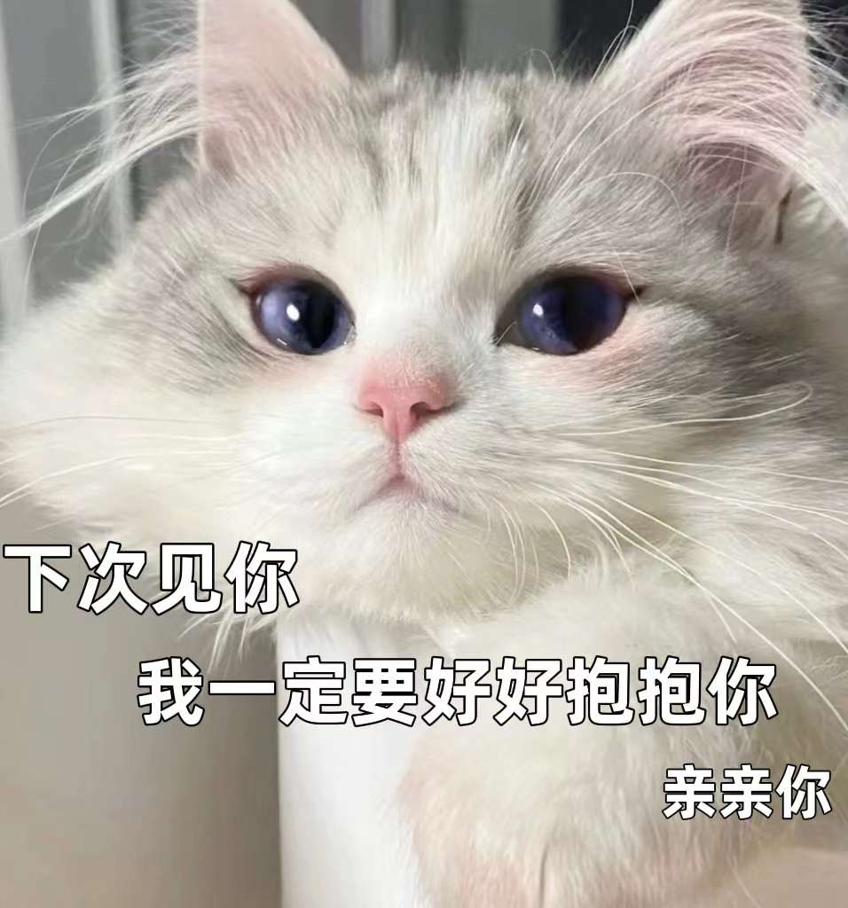 表情包