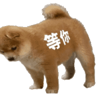 表情包