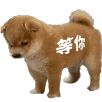 表情包