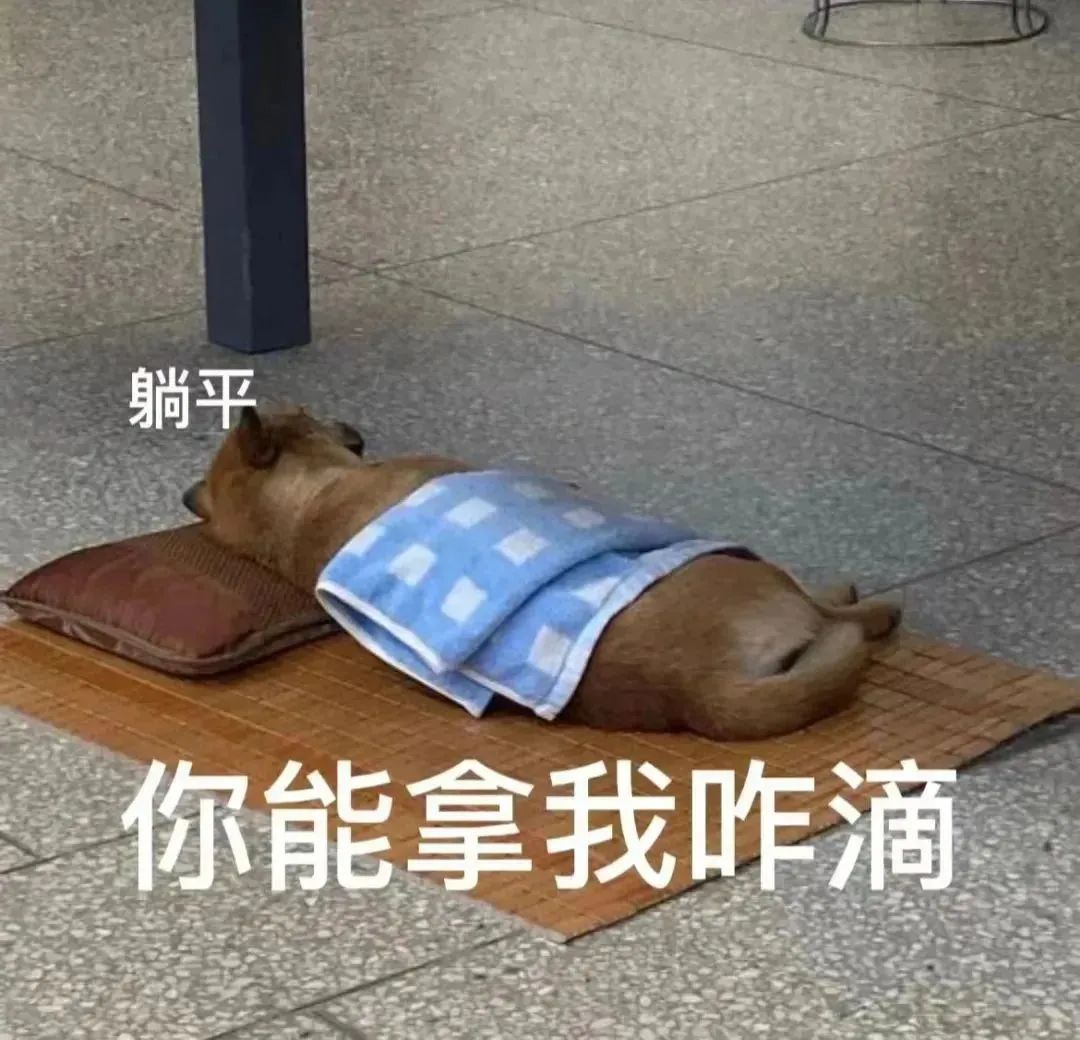 表情包 – 高清 GIF表情包 开放版权素材 免费下载 聊天斗图素材