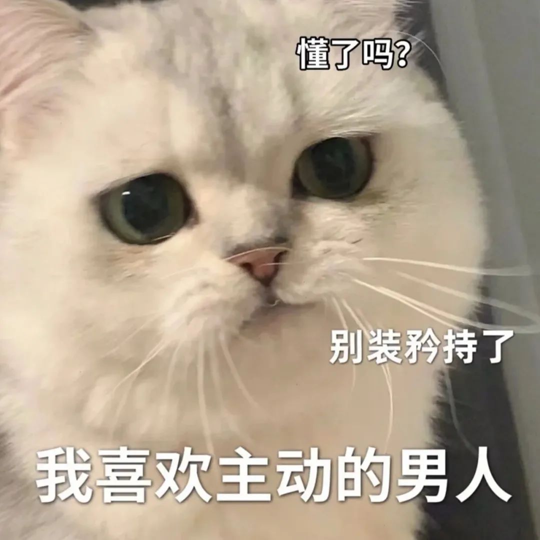 表情包
