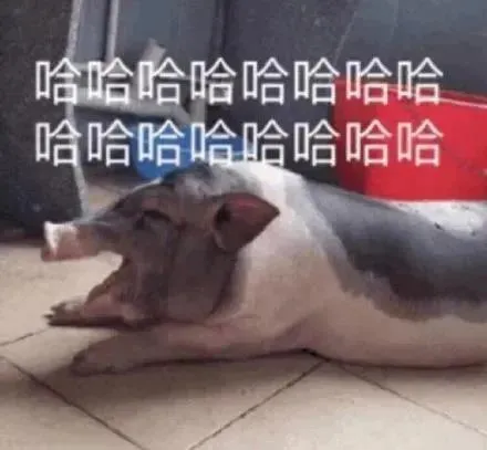 表情包