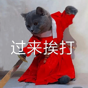 表情包
