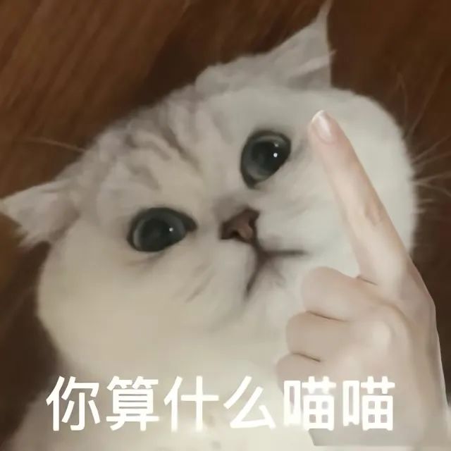 表情包