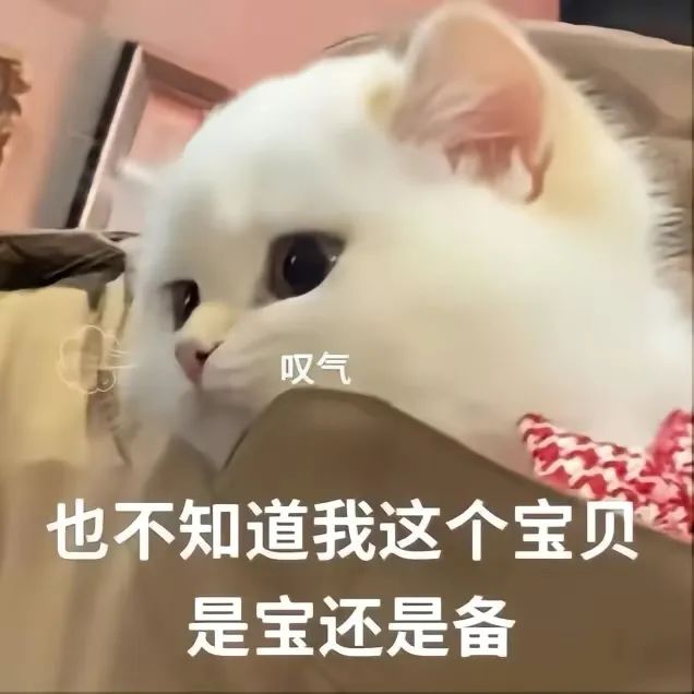 客户端下载二维码