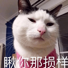 表情包 – 高清 GIF表情包 开放版权素材 免费下载 聊天斗图素材