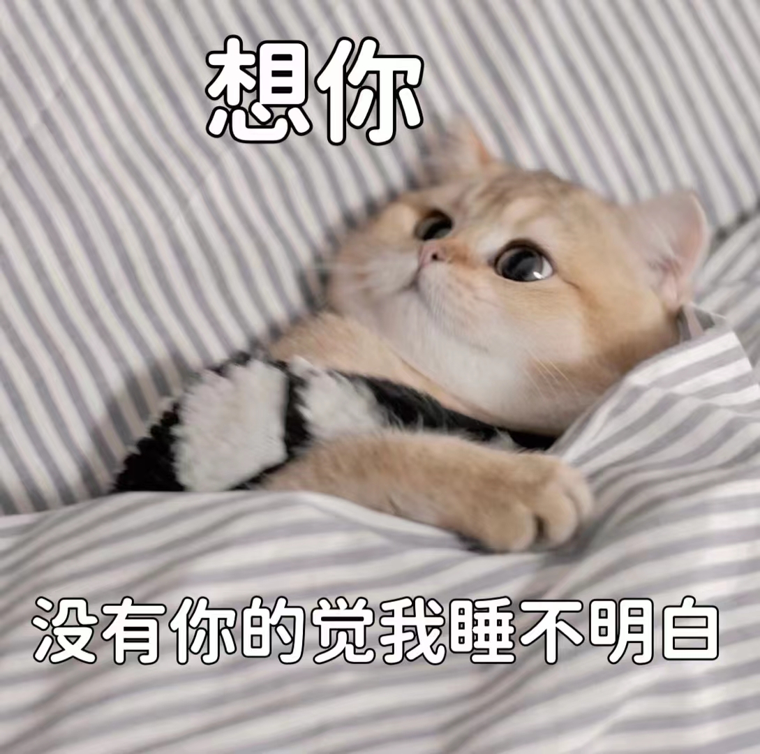 表情包 – 高清 GIF表情包 开放版权素材 免费下载 聊天斗图素材
