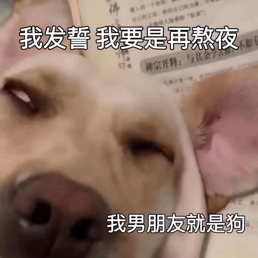 表情包