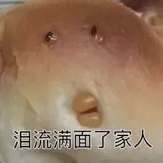 表情包 – 高清 GIF表情包 开放版权素材 免费下载 聊天斗图素材