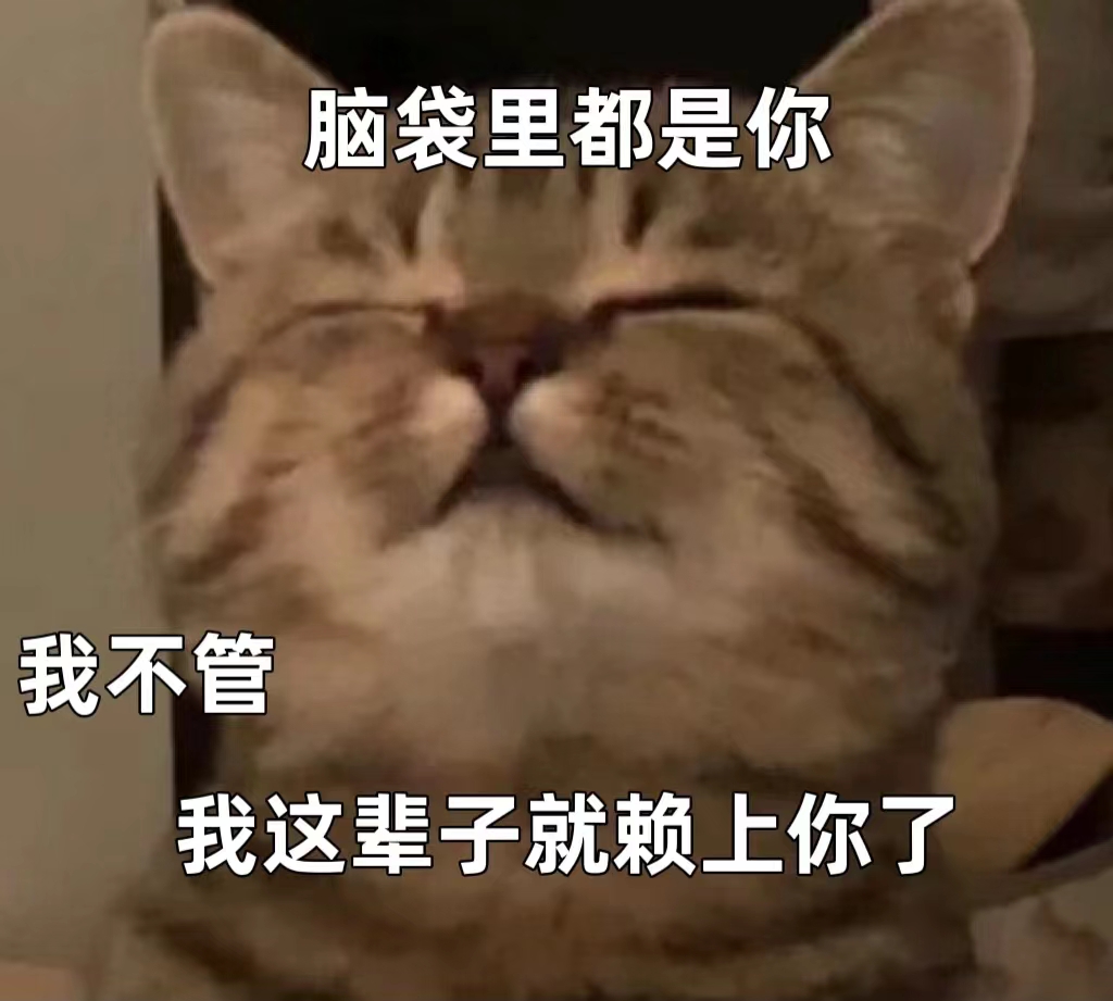 表情包 – 高清 GIF表情包 开放版权素材 免费下载 聊天斗图素材