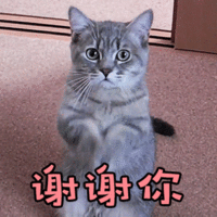 谢谢 Gif Tumblr